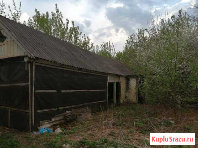 Дом 46 м² на участке 98 сот. на продажу в Короче Короча - изображение 2