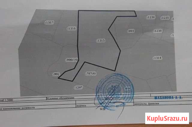 Участок СНТ, ДНП 341 сот. на продажу в Тюмени Тюмень - изображение 1