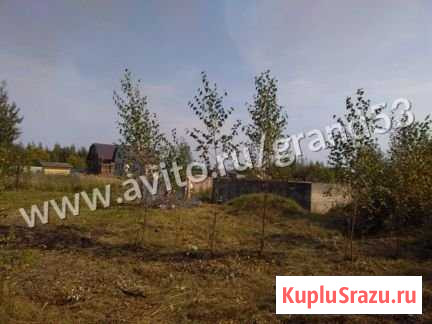 Участок ИЖС 32 сот. на продажу в Великом Новгороде Великий Новгород - изображение 2