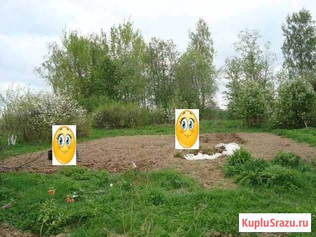 Дача 50 м² на участке 16 сот. на продажу в Череповце Череповец - изображение 2