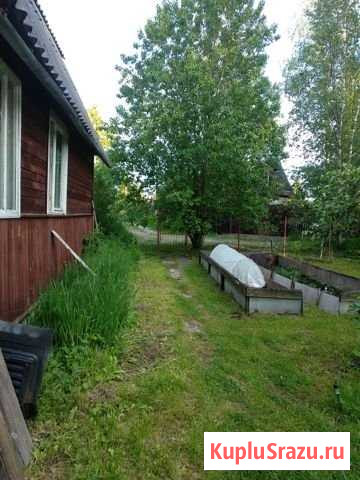 Дача 84 м² на участке 10 сот. на продажу в Мге Мга - изображение 3
