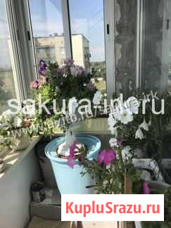2-комнатная квартира, 44.5 м², 8/9 эт. на продажу в Ангарске Ангарск - изображение 3