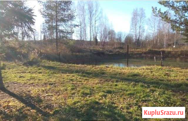 Дача 20 м² на участке 11 сот. на продажу в Александрове Александров - изображение 3
