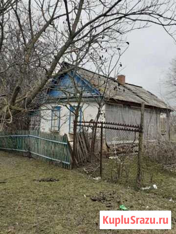Дом 25 м² на участке 8 сот. на продажу в Большой Орловке Большая Орловка - изображение 1