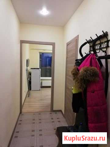 Квартира-студия, 25 м², 15/25 эт. в аренду на длительный срок в Кудрово Кудрово - изображение 3