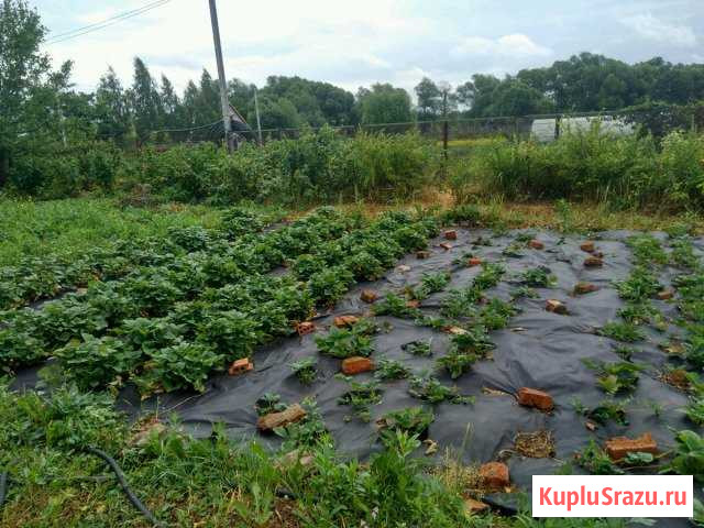 Участок ИЖС 18 сот. на продажу в Туле Тула - изображение 3
