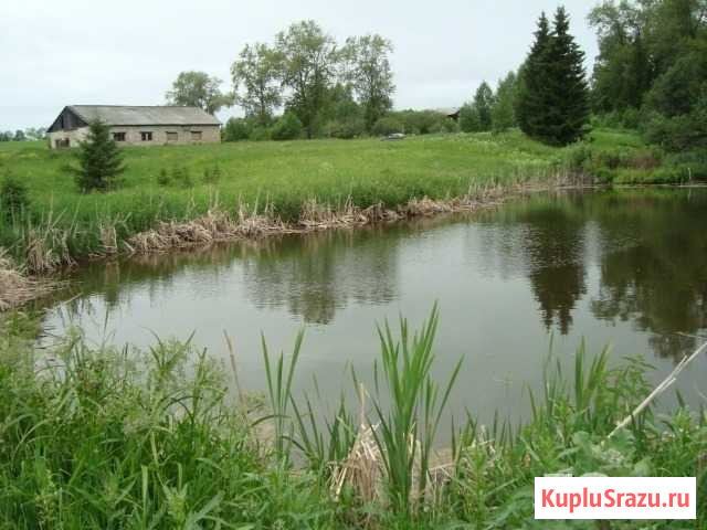 Участок ИЖС 120 сот. на продажу в Майском Пермского края Майский - изображение 3