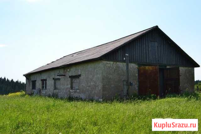 Участок ИЖС 120 сот. на продажу в Майском Пермского края Майский - изображение 2