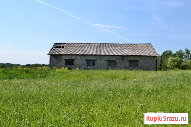Участок ИЖС 120 сот. на продажу в Майском Пермского края Майский - изображение 1