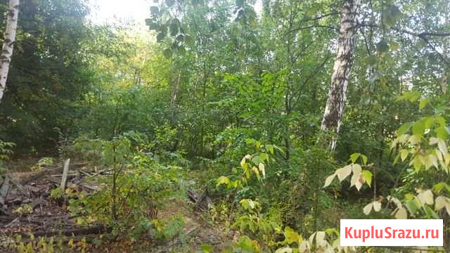 Участок ИЖС 25 сот. на продажу в Одинцово Одинцово - изображение 2