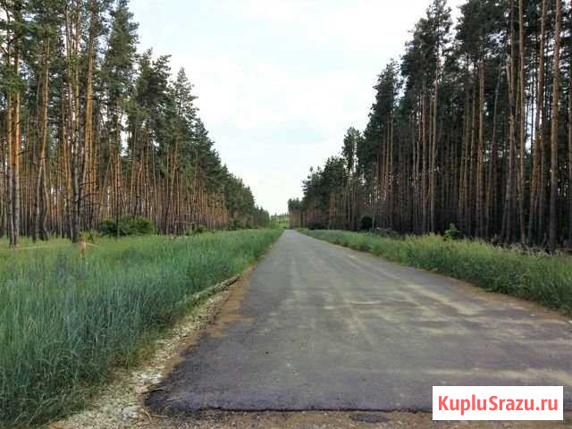 Участок ИЖС 15 сот. на продажу в Воронеже Воронеж - изображение 2