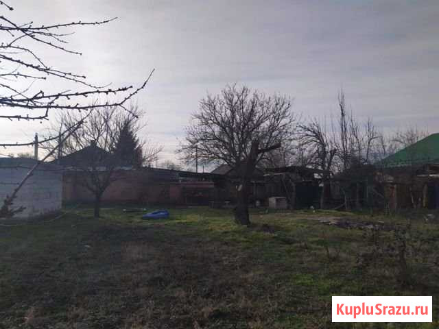 Дом 80 м² на участке 20 сот. на продажу в Казанской Краснодарского края Казанская - изображение 3