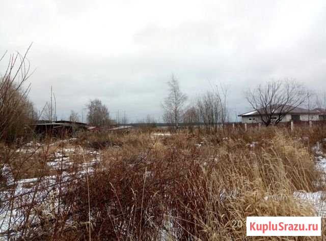Участок ИЖС 10 сот. на продажу в Медвежьегорске Медвежьегорск - изображение 2