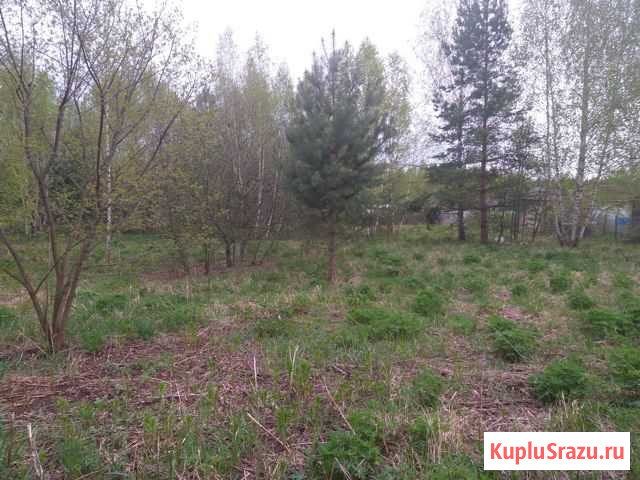 Участок СНТ, ДНП 24 сот. на продажу в Авсюнино Авсюнино - изображение 2