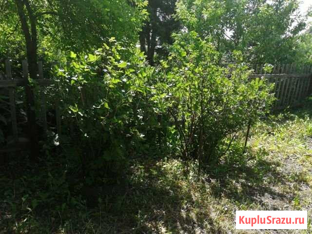 Дача 20 м² на участке 6 сот. на продажу в Омске Омск - изображение 3