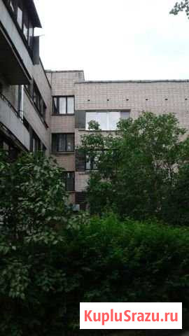 2-комнатная квартира, 52 м², 1/5 эт. на продажу в Пушкине Пушкин - изображение 1