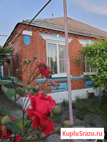 Дом 100 м² на участке 50 сот. в аренду посуточно в Веселом Веселый - изображение 1