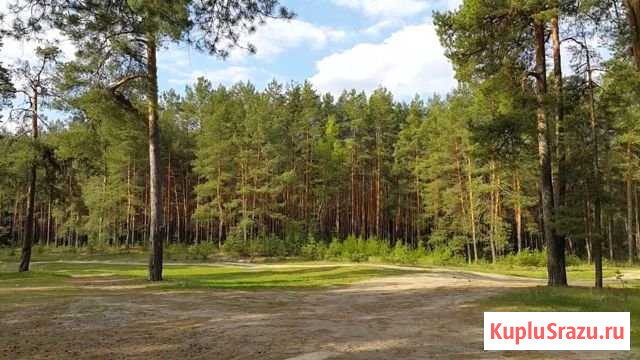 Участок СНТ, ДНП 20 сот. на продажу в Веневе Венев - изображение 1