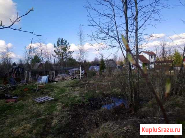 Участок СНТ, ДНП 7 сот. на продажу в Мге Мга - изображение 3