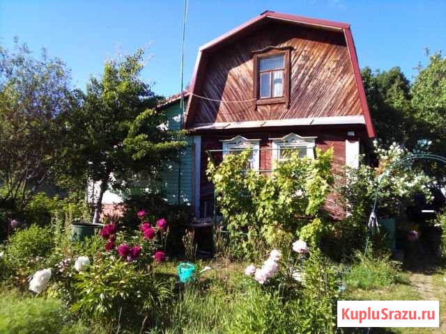 Дача 70 м² на участке 5.5 сот. на продажу в Пестрецах Пестрецы - изображение 2