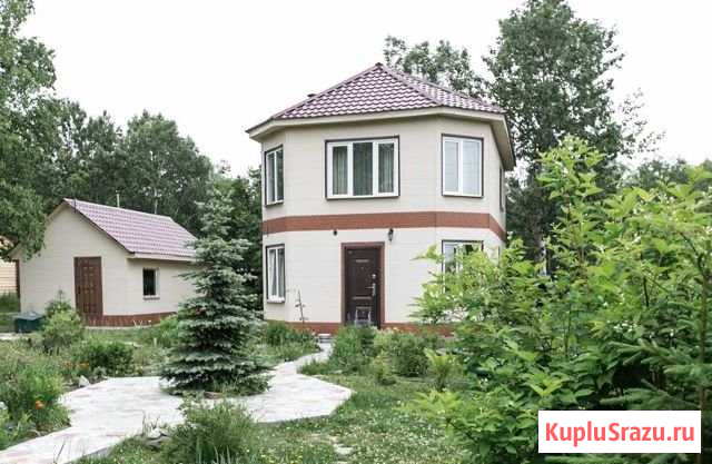 Дача 120 м² на участке 42 сот. на продажу в Елизово Елизово - изображение 1