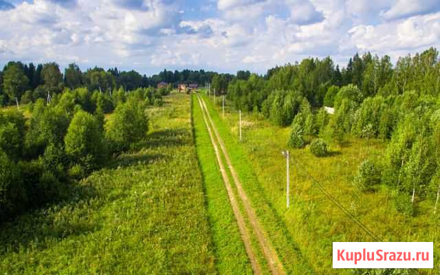 Участок СНТ, ДНП 10 сот. на продажу в Сычево Сычево - изображение 3