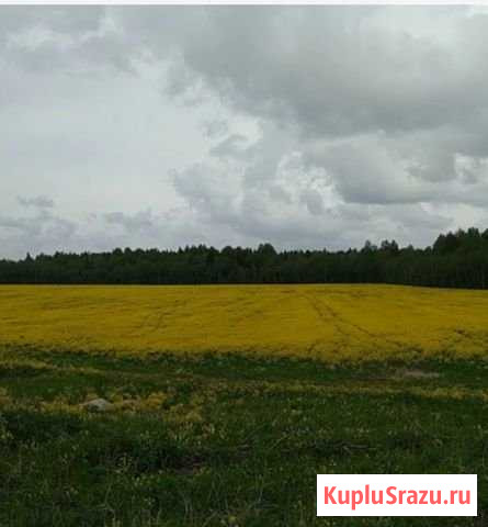 Участок СНТ, ДНП 13 сот. на продажу в Томске Томск - изображение 1