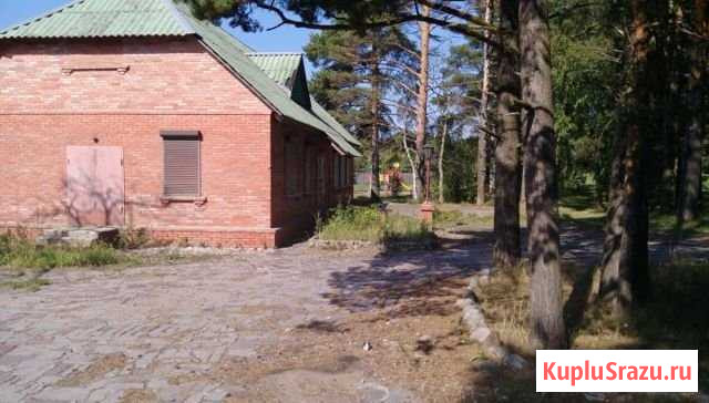 Помещение свободного назначения, 137 кв.м. Приозерск - изображение 2