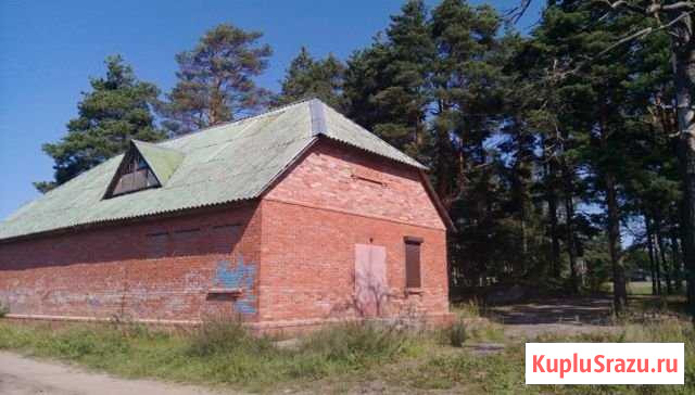 Помещение свободного назначения, 137 кв.м. Приозерск - изображение 3