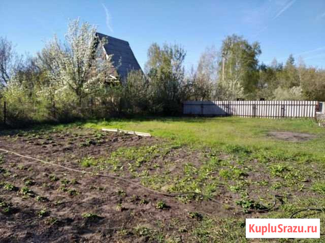 Дача 20 м² на участке 12 сот. на продажу в Лисках Лиски - изображение 3