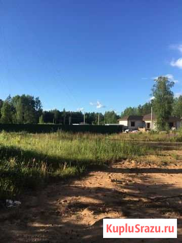Участок СНТ, ДНП 11 сот. на продажу в Кингисеппе Кингисепп - изображение 3