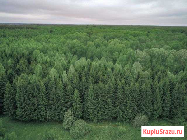 Участок ИЖС 20 сот. на продажу в Чехове Московской области Чехов - изображение 3