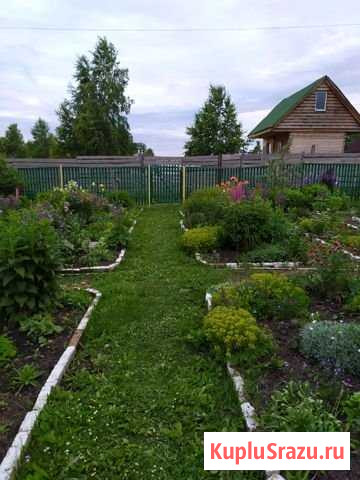 Участок СНТ, ДНП 10 сот. на продажу в Кемерово Кемерово - изображение 3