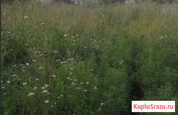 Участок СНТ, ДНП 9 сот. на продажу в Новокузнецке Новокузнецк - изображение 1