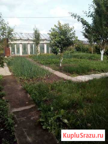 Участок ИЖС 12 сот. на продажу в Калининграде Калининград - изображение 3