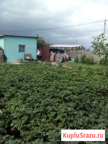 Участок ИЖС 12 сот. на продажу в Калининграде Калининград - изображение 2