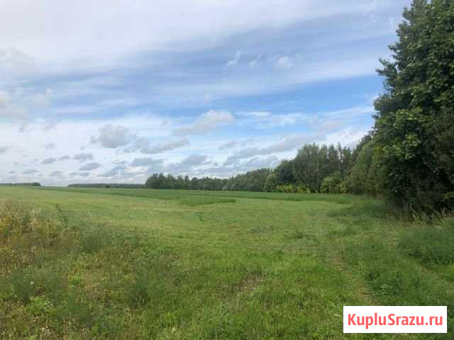Участок СНТ, ДНП 3600 сот. на продажу в Казани Казань - изображение 2