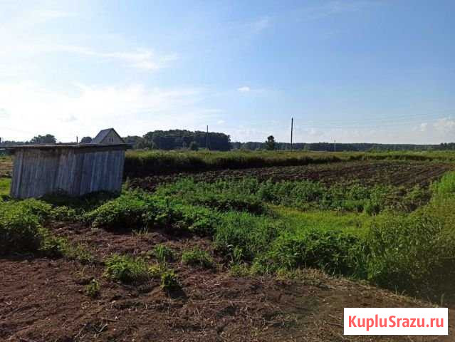 Участок ИЖС 36 сот. на продажу в Успенке Успенка - изображение 1