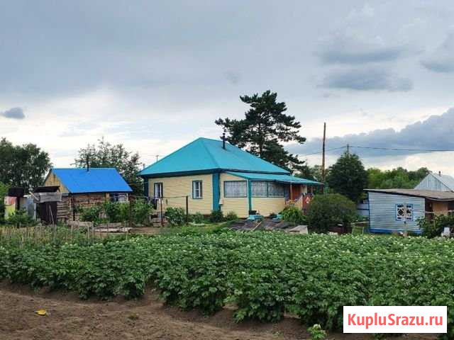Дом 64 м² на участке 22 сот. на продажу в Кытманово Кытманово - изображение 1