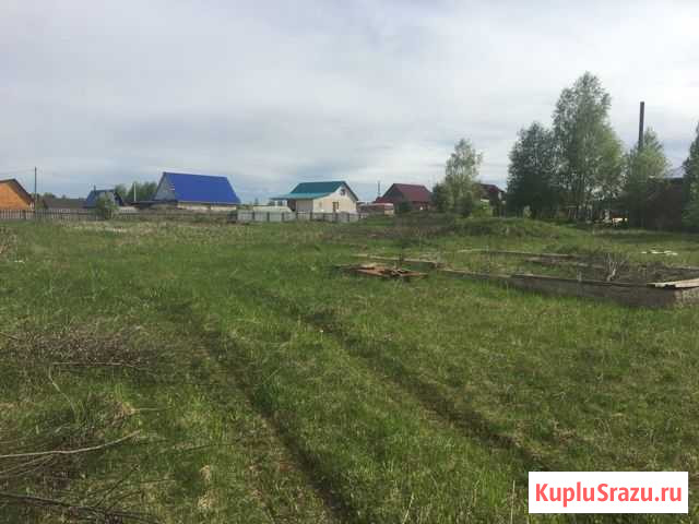 Участок ИЖС 22 сот. на продажу в Елово Елово - изображение 2