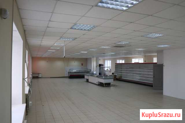 Помещение свободного назначения, 340.6 кв.м. Саратов - изображение 3