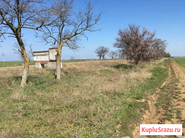 Участок СНТ, ДНП 100 сот. на продажу в Санкт-Петербурге Санкт-Петербург - изображение 1