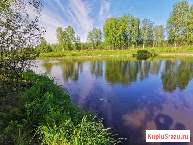 Участок СНТ, ДНП 31 сот. на продажу в Выборге Выборг - изображение 1