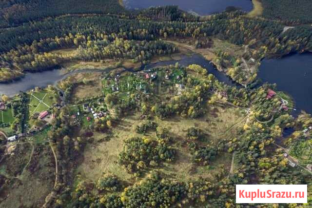 Участок СНТ, ДНП 11 сот. на продажу в Санкт-Петербурге Санкт-Петербург - изображение 2