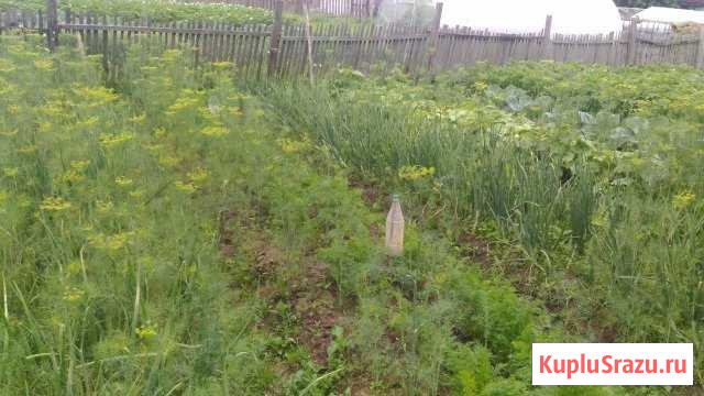 Участок ИЖС 8 сот. на продажу в Вязьме Вязьма - изображение 2