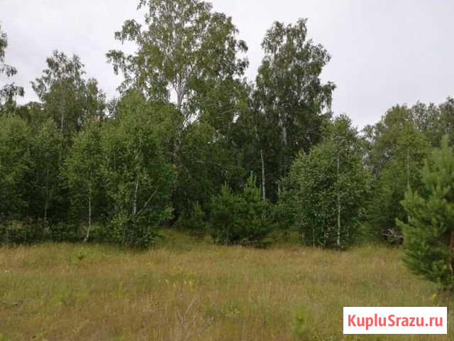 Участок ИЖС 10 сот. на продажу в Кургане Курган - изображение 2