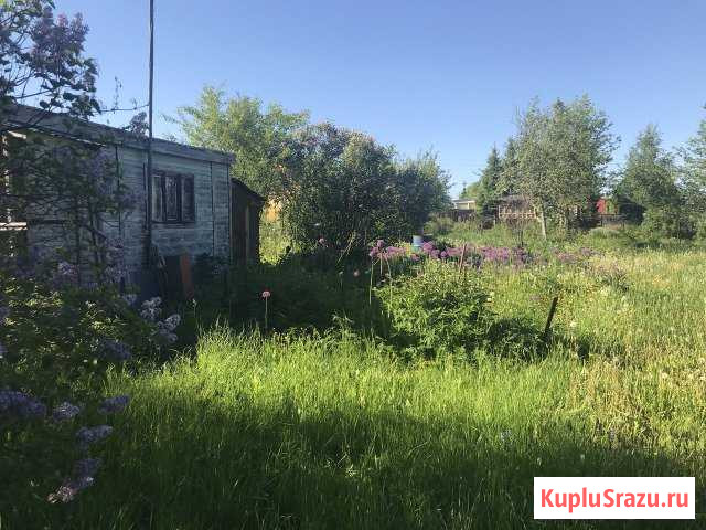 Участок СНТ, ДНП 8 сот. на продажу в Вербилках Вербилки - изображение 1