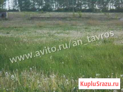 Участок ИЖС 6 сот. на продажу в Рязани Рязань - изображение 1