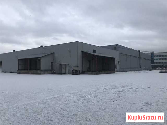 Складское помещение, 6000 кв.м. Санкт-Петербург - изображение 3