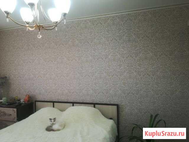 3-комнатная квартира, 64 м², 8/9 эт. на продажу в Братске Братск - изображение 1
